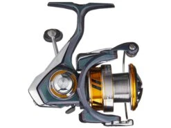 Daiwa Regal LT Spinning Reel 10 Daiwa Regal LT Spinning Reel -Daiwa 2 d6cd421d eed6 4499 bf62 a5ee9524b74a