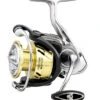 Daiwa Procyon LT Spinning Reels -Daiwa 31403870912601