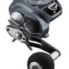 Daiwa Lexa TW 300 Baitcasting Reels -Daiwa 39445632254041