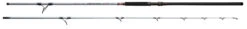 Daiwa Team Daiwa Spinning Surf Rods -Daiwa 39455861342297