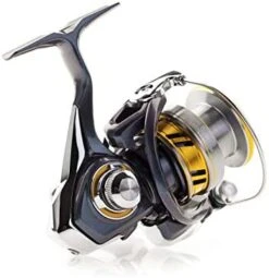 Daiwa Regal LT Spinning Reel 13 Daiwa Regal LT Spinning Reel -Daiwa 418E3HhhrIL. AC
