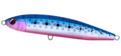 Daiwa Rough Ride 160F Surface Lures -Daiwa DaiwaRoughRideSurfaceLuresBluePinkIwashi Freddys