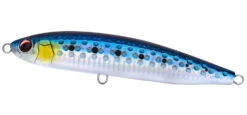 Daiwa Rough Ride 160F Surface Lures -Daiwa DaiwaRoughRideSurfaceLuresSardine Freddys