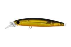 Daiwa 2022 Infeet Sazanami 60SP Lures -Daiwa Daiwa 2022 Infeet Sazanami 60SP Lures Black Gold Freddys