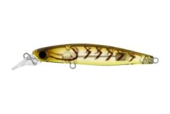 Daiwa 2022 Infeet Sazanami 60SP Lures