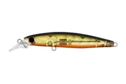 Daiwa 2022 Infeet Sazanami 60SP Lures -Daiwa Daiwa 2022 Infeet Sazanami 60SP Lures Risky Suji Freddys