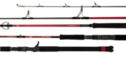 Daiwa 32 Daiwa 2021 Demon Blood Graphite Rods