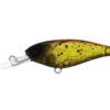 Daiwa Infeet Kodachi 40SF Lures 1 Daiwa Infeet Kodachi 40SF Lures -Daiwa Daiwa Infeet Kodachi 40SF Lures Bloodworm Freddys