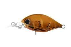 Daiwa Infeet Rollin Crank Lures 19 Daiwa Infeet Rollin Crank Lures -Daiwa Daiwa Infeet Rollin Crank Lures MR Orange Crab Freddys 97a6461b 3643 4856 9db0 3a88cf52940f