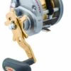 Daiwa Saltist LW Overhead Reel Clearance -Daiwa Daiwa Saltist Overhead LW HA reels Freddys 8bff23b6 a4cc 4e44 a18d e00175836fcd