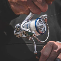 Daiwa Procyon MQ LT Spinning Reel 10 Daiwa Procyon MQ LT Spinning Reel -Daiwa Procyon3Spot 1000x a9dd0fff 5484 484f ada8 569f03ffa72b