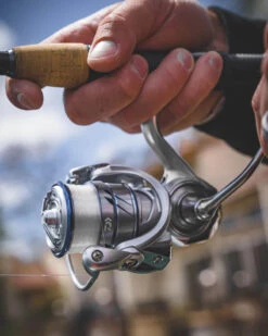Daiwa Procyon MQ LT Spinning Reel 13 Daiwa Procyon MQ LT Spinning Reel -Daiwa Procyon5Spot