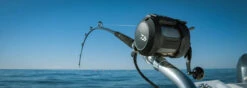 Daiwa Tanacom 800 Power Assist Electric Dendoh Reel -Daiwa TANACOM 800 BANNER1
