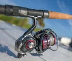 Daiwa Ballistic LT MQ Spinning Reels 16 Daiwa Ballistic LT MQ Spinning Reels -Daiwa ballistic mq lt 3