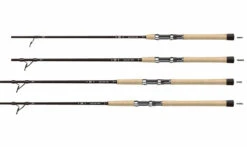 Daiwa Back Bay Spinning Rods 6 Daiwa Back Bay Spinning Rods -Daiwa daiwa back bay spinning rods 89725.1651169774