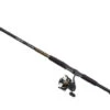 Daiwa BG Saltwater Spinning Combos 2 Daiwa BG Saltwater Spinning Combos -Daiwa daiwa bg saltwater spinning combos 43559.1651169801.386.513