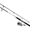 Daiwa D-Wave DWB Saltwater Spinning Combos -Daiwa daiwa d wave dwb saltwater spinning combos 26363.1651075331.386.513
