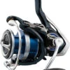 Daiwa Legalis LT Spinning Reels -Daiwa daiwa legalis lt spinning reels 00000.1651112550