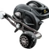 Daiwa Lexa Type-WN Baitcasting Reels 2 Daiwa Lexa Type-WN Baitcasting Reels -Daiwa daiwa lexa wn baitcasting reels 14724.1651112560