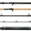 Daiwa Prorex Muskie Rods 2 Daiwa Prorex Muskie Rods -Daiwa daiwa prorex muskie rods 61837.1651267189