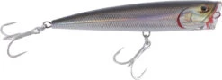 Daiwa Saltiga Dorado Popper Lures -Daiwa daiwa saltiga dorado popper lures 48293.1651236317
