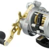Daiwa Saltist Levelwind A Reels 2 Daiwa Saltist Levelwind A Reels -Daiwa daiwa saltist levelwind a reels 55810.1650807938