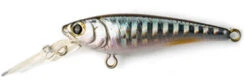 Daiwa SC Shad Jerkbait -Daiwa daiwa sc shad jerkbait 48587.1651361458