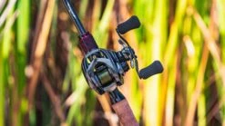 Daiwa Steez CT SV Baitcasting Reel -Daiwa daiwa steez ct sv 5