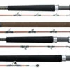 Daiwa V.I.P. A Saltwater Rods -Daiwa daiwa vip a saltwater rods 06467.1651076951