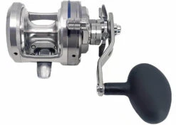 Daiwa Saltiga Star Drag 20/30/35/40/50 Conventional Reels -Daiwa saltigastar2