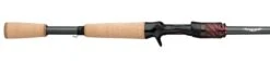 Daiwa Steez AGS Bass Casting Rods 7 Daiwa Steez AGS Bass Casting Rods -Daiwa steez cast 1