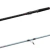 Daiwa Team Daiwa Spinning Surf Rods -Daiwa teamdaiwasurf.JPG a0dddbb9 5def 4405 916c beed396e121f
